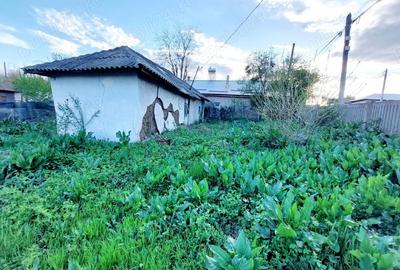 Casă cu 3 camere cu Teren 535 Mp în Măldăeni - 4