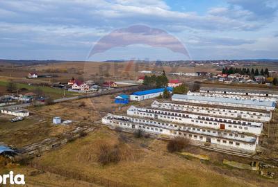 Teren de 39600 mp, în Traian - 5