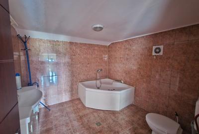 Spațiu industrial, în Coșereni - 19