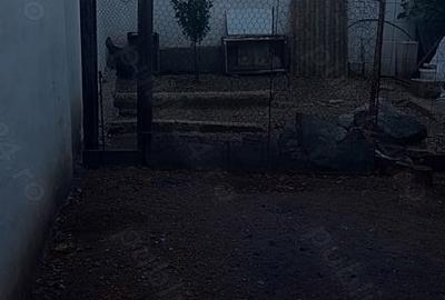 Casă cu 3 camere cu Teren 215 Mp în Central - 5