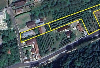 CASA SI LIVADA/ZONA DE DEALURI IMPADURITE/VALEA SCHEII/MANGA/VOINESTI/DAMBOVITA - 45