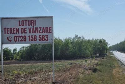 Frumusani Postavari Loturi Teren Rezidentiale - 4