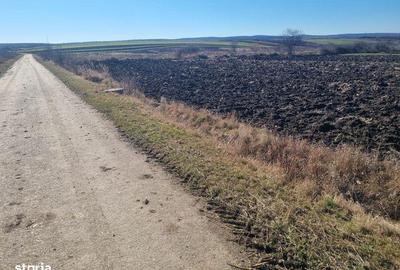 Teren de 3500 mp, în Pericei - 4