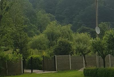 Casă în Cerbăl - 6