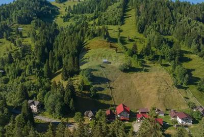 Casa / Vila cu 6 camere, in inima naturii, comision zero pt cumparator - 4