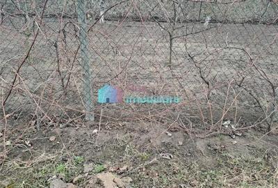 Teren intravilan 700 mp Sf. Ilie - 5