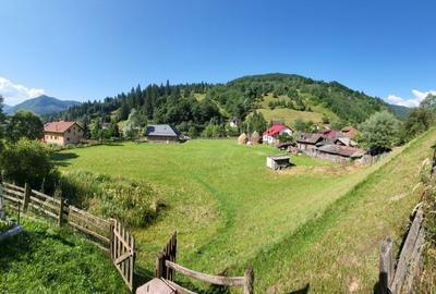 Spațiu comercial, în Sătic - 7