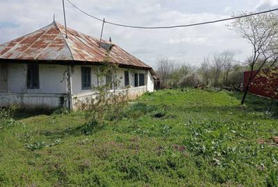 Spațiu comercial, în Lupăria - 8