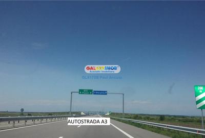 Teren intravilan de 45800 mp, în Gherghița - 1