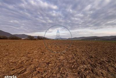 Teren de 2500 mp, în Șieu - 6