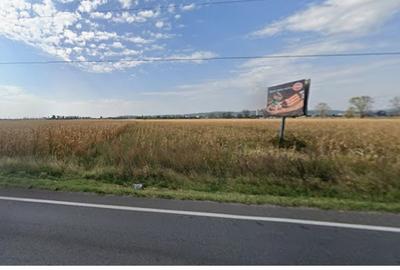 Teren agricol extravilan de 5000 mp, în Florești - 1