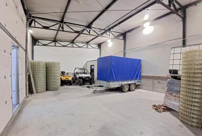 Hala NOUA 2024, sup.construita 398 mp Suceagu - 1