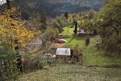 Spațiu comercial, în Roșeni - 7