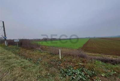 Teren de 5712 mp, în Chiribiș - 2