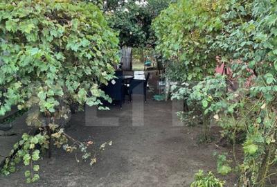 Casa batraneasca, locuibila, Podari, teren 1050 mp - 5