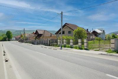 Teren Zona Jiblea Veche - 1