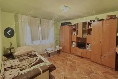 Apartament 1 camera la parter - Zona Freidorf - 2