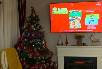 Apartament cu 2 camere în Braytim - 6