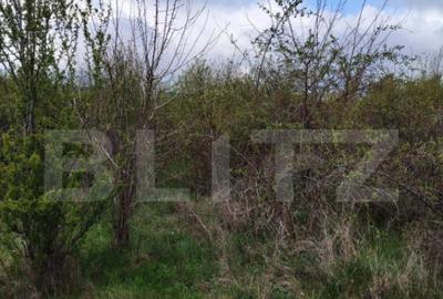 COMISION 0% LA CUMPARATOR Teren INTRAVILAN 8280 mp, zona L - 8