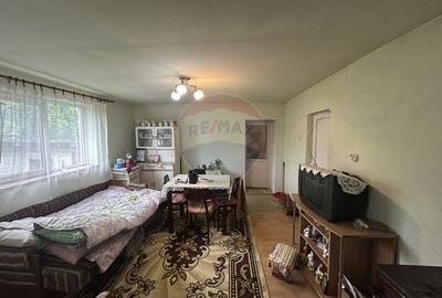 Casa cu 2 camere si 2 ari de teren de vanzare in zona centrala - 11