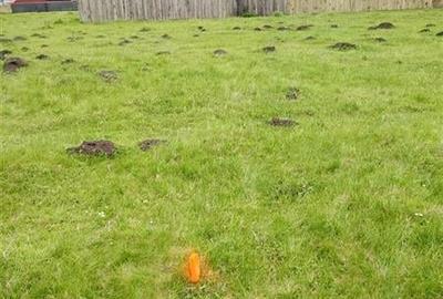 FILM! Teren intravilan cu suprafata de 872 mp, Harman, Brasov - 13