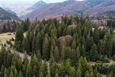 FILM! 1.000 mp,PUZ,regim P 2 M,destinatii turistice rezident - 23