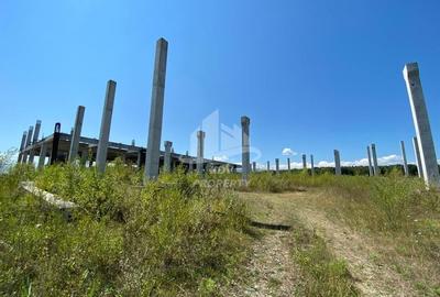 Constructie 3707 mp + Teren intravilan 8828 mp Sibiu /Selimbar - 18