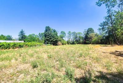 Casa , teren intravilan Urlueni Barla Arges - 31