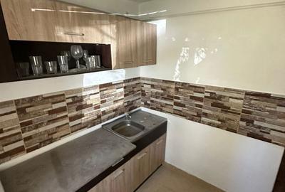 Apartament cu 2 camere decomandat, mobilat în Bere - 4