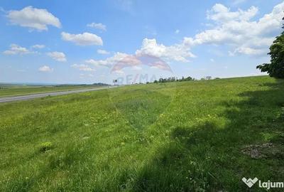 Teren de 7000 mp, în Ilișești - 18