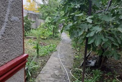 Casă cu 2 camere în Central - 1