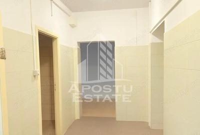 Casă cu 7 camere în Mehala - 3