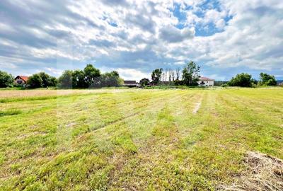 Casa 4 cam.+ teren de vanzare in Cartierul Turnisor, Zona Exclusivista - 7