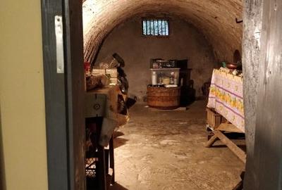 Casa din bârne de lemn, 3 camere, Stațiunea Cacica, SU 117mp,882 mp teren - 3