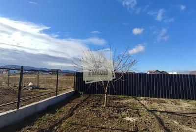 Casa individuala cu 3 camere 2 bai si curte pavata in Cristian - 13