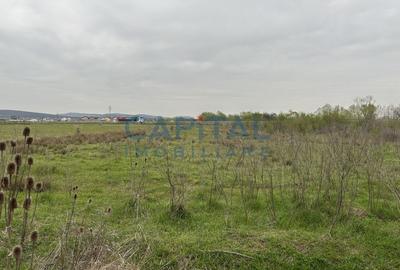 TEREN STRADA DIMITRIE CULCER LANGA SOSEAUA DE CENTURA.NU RATA!COMISION 0% - 2