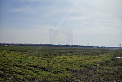 Spațiu comercial, în Balotești