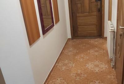 Apartament cu 2 camere decomandat în Paltin - 1