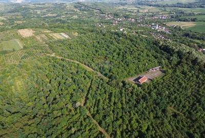 OPORTUNITATE PENTRU DEZVOLTATORI Teren de vanzare - Satu Nou de Jos - 7