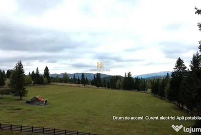 Teren de 16813 mp, în Fundu Moldovei - 16