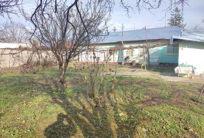 Teren Generos de 1160 mp cu Potențial  în Afumați – Deschidere Stradala 26m - 4