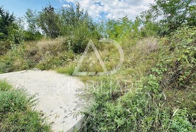 Vanzare teren de casa in Comuna Scoar?a , strada Salcia - 1