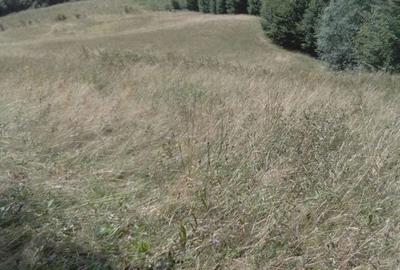 Casă cu 4 camere în Central - 5