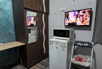 Mini Garsoniera Parc Monument Hipodrom Bariera - 4