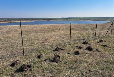 Teren Construcții intravilan de 600 mp, în Central - 2