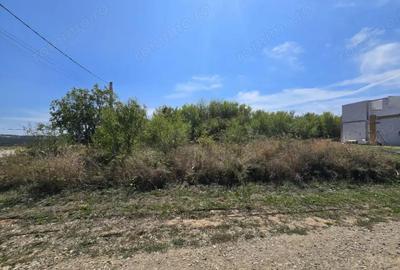 Teren Paleu Intravilan - 4