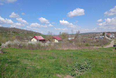 Teren de 1150 mp, în Dămienești - 2