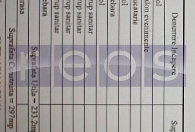 INCHIRIERE SPATIU COMERCIAL | GORJULUI | 297 MP | STRADAL - 4