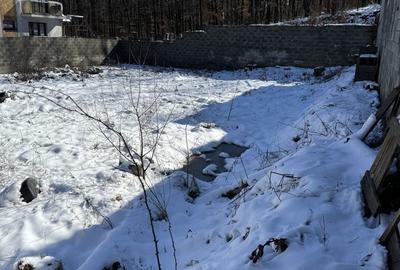 Spațiu comercial, în Trivale - 2