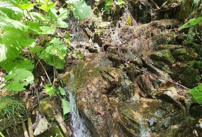 Casă cu 3 camere în Central - 4